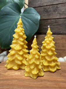 Beeswax Tree Candle